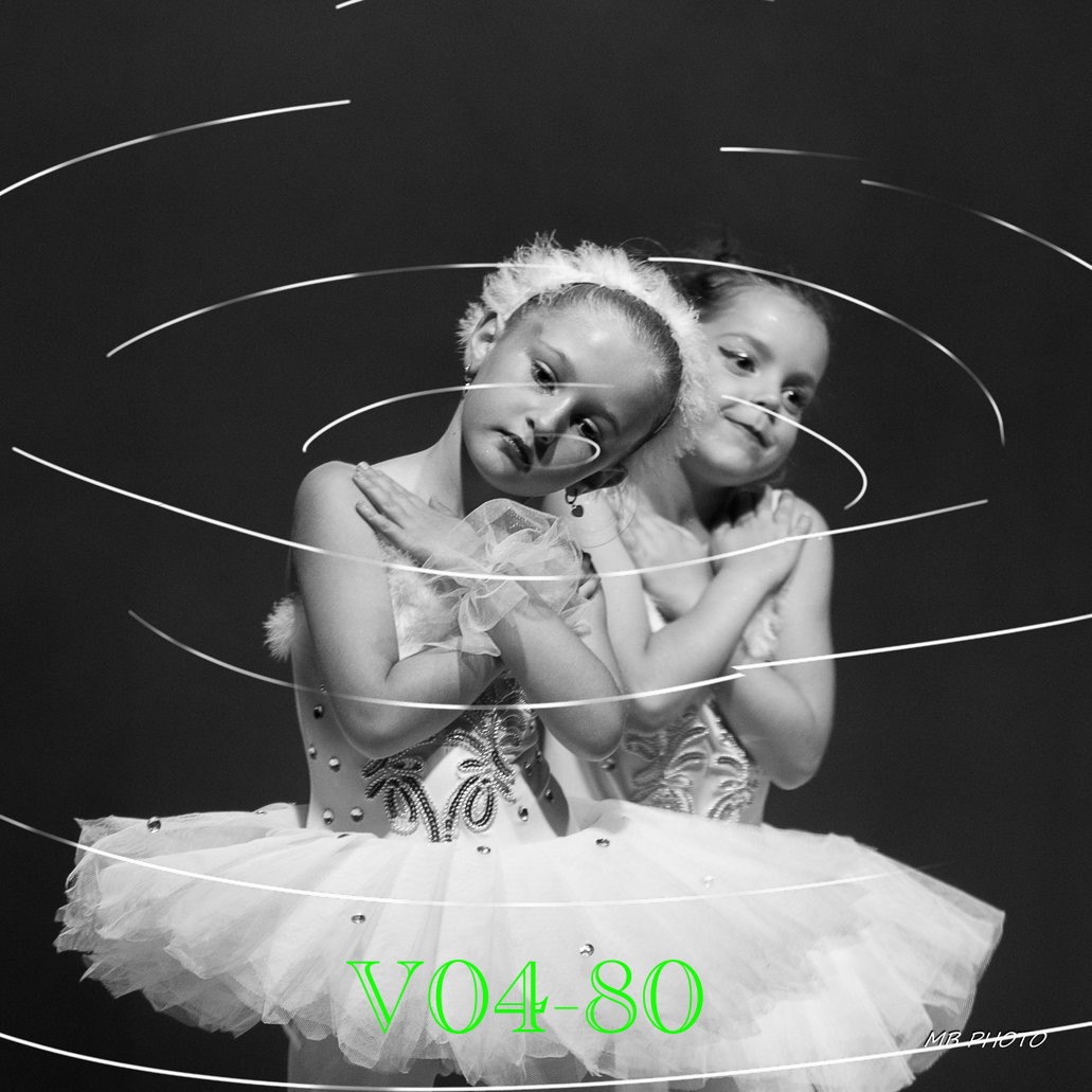 V04-80